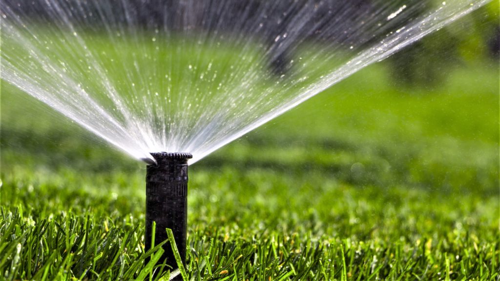 Pop-up sprinkler head spraying water over a lawn