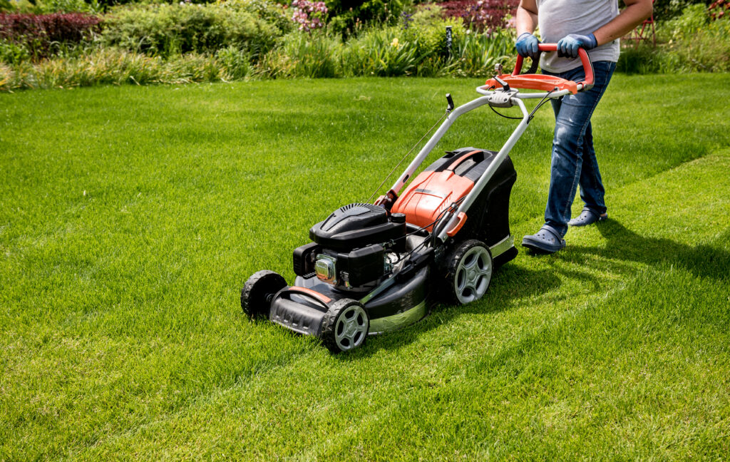 Gardener mowing a green lawn with a push mower